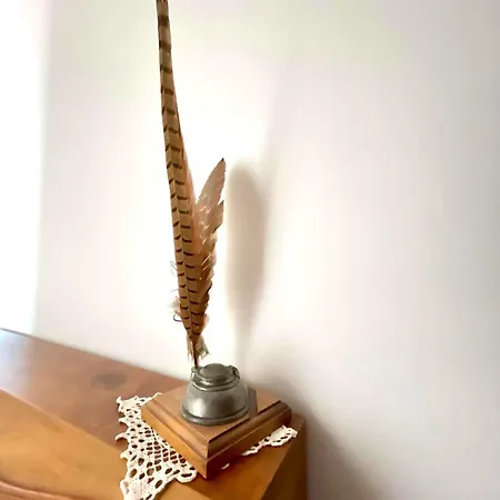 Konukevi Les Colibris Maison Familiale Quartier Gare 4*