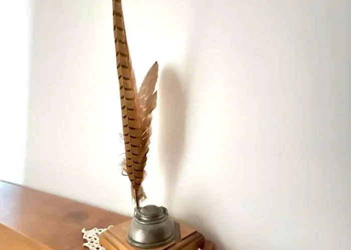 Les Colibris Maison Familiale Quartier Gare